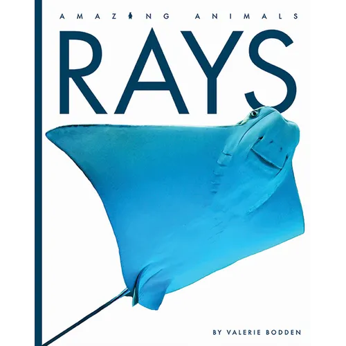 Rays