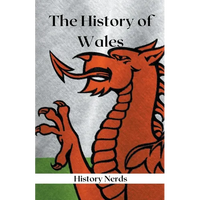 The History of Wales - Paperback