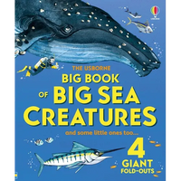 Big Book of Big Sea Creatures - Hardcover