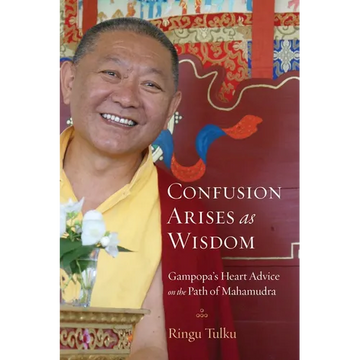 Confusion Arises as Wisdom: Gampopa's Heart Advice on the Path of Mahamudra - Paperback