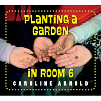 Planting a Garden in Room 6: From Seeds to Salad - Paperback