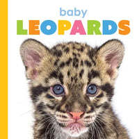 Baby Leopards - Paperback