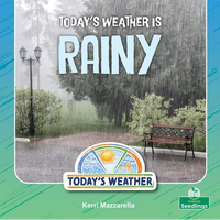Today's Weather Is Rainy - Paperback