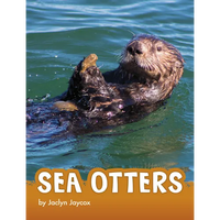 Sea Otters - Hardcover