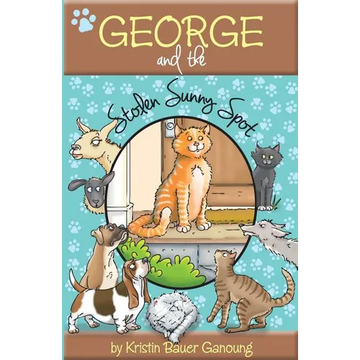 George and the Stolen Sunny Spot - Paperback