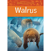Animals Illustrated: Walrus - Hardcover