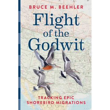 Flight of the Godwit: Tracking Epic Shorebird Migrations - Hardcover