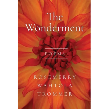 The Wonderment - Paperback