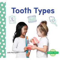 Tooth Types - Library Binding