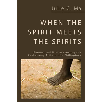 When the Spirit Meets the Spirits - Paperback
