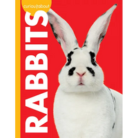 Curious about Rabbits - Paperback