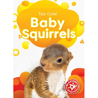 Baby Squirrels - Library Binding