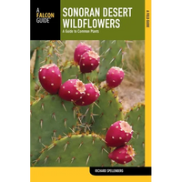 Sonoran Desert Wildflowers - Paperback