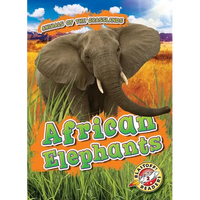 African Elephants - Library Binding