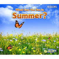 What Can You See in Summer? - Paperback