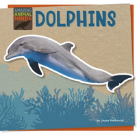 Dolphins - Paperback