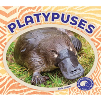 Platypuses - Library Binding
