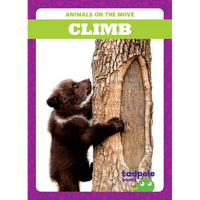 Climb - Library Binding
