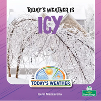 Today's Weather Is Icy - Paperback