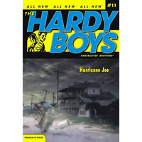 Hurricane Joe - Paperback