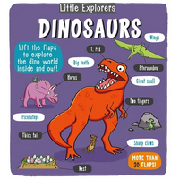 Little Explorers: Dinosaurs - Hardcover