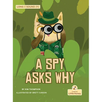 A Spy Asks Why - Paperback