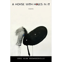 A Horse with Holes in It: Poems - Paperback