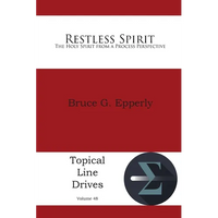 Restless Spirit: The Holy Spirit from a Process Perspective - Paperback