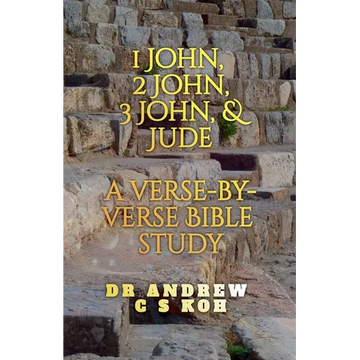 1 John, 2 John, 3 John & Jude: a Verse by Verse Bible Study - Paperback