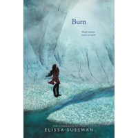 Burn - Paperback