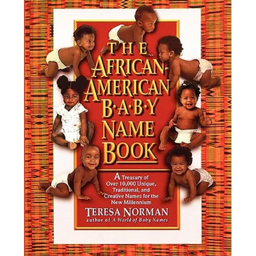 The African-American Baby Name Book: A Treasury of over 10,000 Unique, Traditional, and Creative Names for the New Millennium - Paperback
