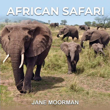 African Safari - Paperback