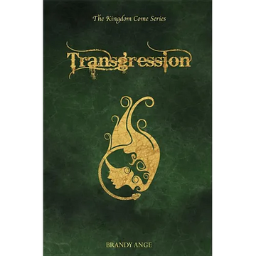 Transgression - Paperback