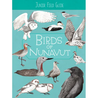 Junior Field Guide: Birds of Nunavut: English Edition - Paperback