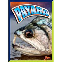Payara - Hardcover