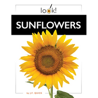 Sunflowers - Hardcover