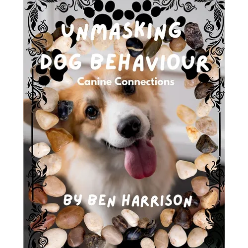Unmasking Dog Behaviour: Canine Connections