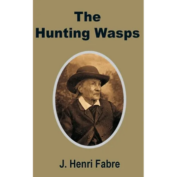 The Hunting Wasps - Paperback