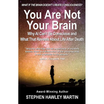 You Are Not Your Brain: Why AI Can't Be Conscious and What That Means for Life After Death - Paperback