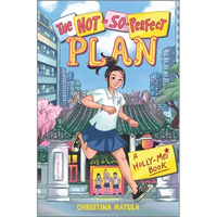 The Not-So-Perfect Plan - Hardcover