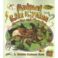 Animal Life Cycles: Growing and Changing - Paperback