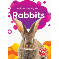 Rabbits - Paperback