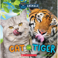 Cat or Tiger (Wild World: Pets and Wild Animals) - Paperback
