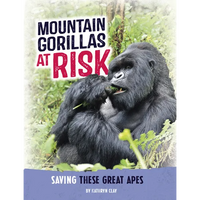 Mountain Gorillas at Risk: Saving These Great Apes - Paperback