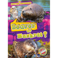 Beaver or Muskrat? - Paperback
