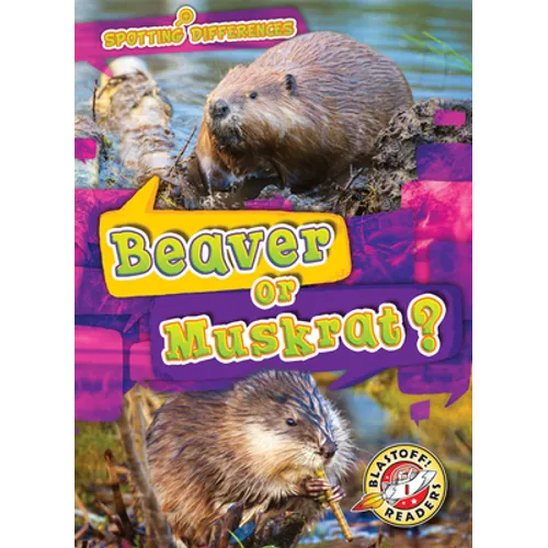 Beaver or Muskrat?