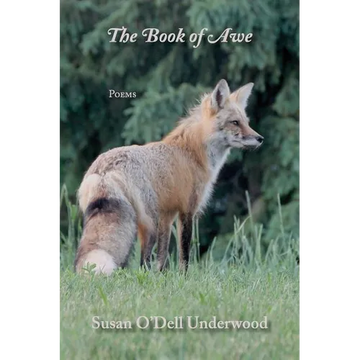 The Book of Awe - Paperback