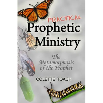 Practical Prophetic Ministry: The Metamorphosis of the Prophet - Paperback