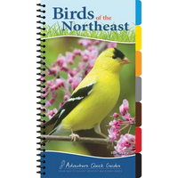 Birds of the Northeast: Your Way to Easily Identify Backyard Birds - Spiral