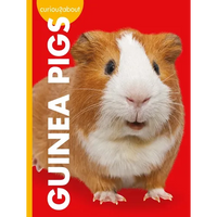Curious about Guinea Pigs - Paperback